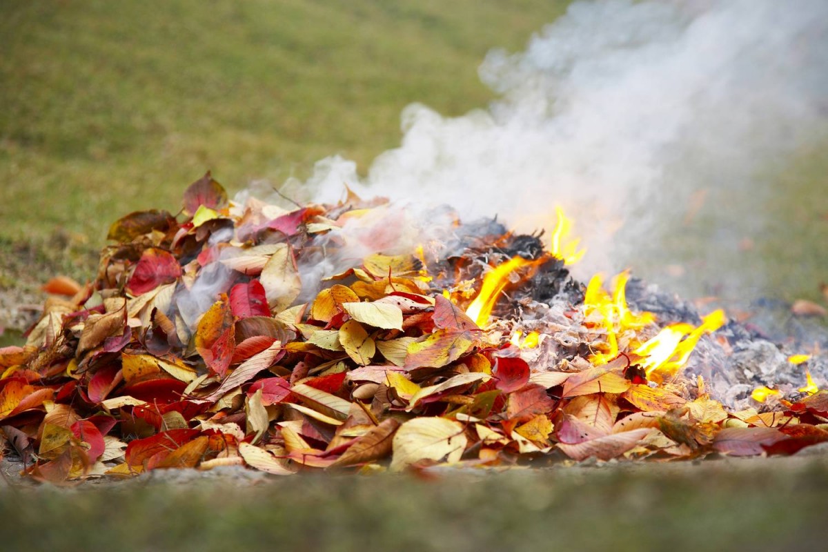  | Tájékoztató az avar és kerti hulladék nyílttéri égetésének szabályairól