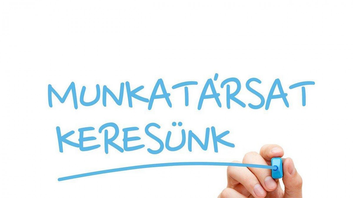 | Pályázati felhívás gazdasági vezető munkakör betöltésére